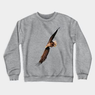 White tailed Eagle Crewneck Sweatshirt